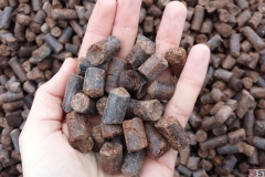 Sektor Energetyczny - wytłoczyny z masłosza pellet